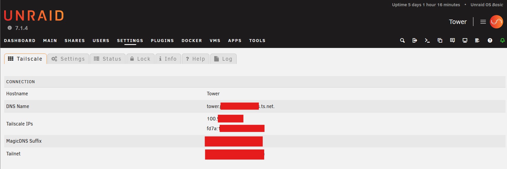 Unraid configurado con tailnet
